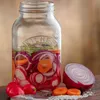 A Kilner fermentation jar filled with sliced red onions, radishes, and carrots, with a halved red onion and some salt on the side. Podgląd zdjęcia produktu