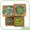 Portafiori, scaffale per fiori, piante, vasi, autoportante, Anteprima dell’immagine prodotto 5
