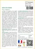 SAFLAX  - Arbre de la Bodhi - 100 graines - Avec substrat - Voir les images du produit 3