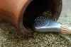 SAFLAX - Garden in the bag - Krzew Herbaciany Mate - 10 Podgląd zdjęcia produktu 6