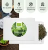 Brennnesselsamen - Heilkräuter Saatgut aus biologischem Produktbild-Vorschau 4