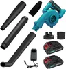 Soplador de hojas inalámbrico 3 en 1, 500 W, hasta 210 Vista previa de la imagen del producto 1