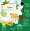Biostile Collagen Pineapple - 30 saszetek z 5 źródłami Podgląd zdjęcia produktu 3
