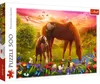 Trefl Puzzle 500, 500 kusov, Zvieratá, 10 rok / roky Náhľad obrázku produktu 2