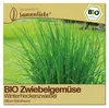 Samenliebe  Winterheckenzwiebel Samen | Zwiebelgemüse - Produktbild-Vorschau 1