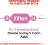 Diagram showing the stages of a cat's life and corresponding Royal Canin products. Náhled obrázku produktu