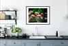 MuchoWow® Gerahmtes Poster Flamingo - Tropisch - Vogel - Produktbild-Vorschau 4