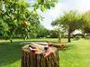WOLF Garten® Klappsäge - PCS 145 Produktbild-Vorschau 10