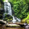 Muralo Fotomurale autoadesivo WATERFALL Alberi Natura Anteprima dell’immagine prodotto 6