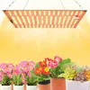 A grow light is shown suspended above a collection of potted plants, including succulents and flowering plants.