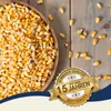 25 kg Lyra Pet® Futtermais Qualitätsfutter Körnermais Produktbild-Vorschau 4