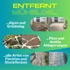 Marketing image showing before and after results of a stone cleaner. Produktbild-Vorschau