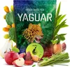 Yaguar - Tè di mate Pera 500 g - Pera, mela - Energia Anteprima dell’immagine prodotto 2