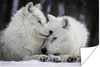 MuchoWow® Poster Wölfe - Schnee - Familie 30x20 cm - Produktbild-Vorschau 1