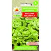 Salát Queen Of May Raný pevný salát Semena 2G Máslový salát Náhled obrázku produktu 2