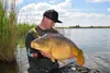 Carp Food Mix Pellet /10 kg Fruit&Sweet Náhled obrázku produktu 3