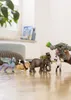 Schleich - Tierfiguren, Tyrannosaurus Rex; 14525 Produktbild-Vorschau 16