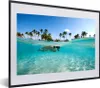 MuchoWow® MuchoWow® Gerahmtes Poster Meer - Schnorcheln - Produktbild-Vorschau 1