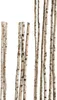 Massiver Birkenholz Dekostamm natur 90 cm lang, 4-6 cm Produktbild-Vorschau 1