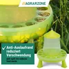 Agrarzone Kŕmidlo pre kurčatá so stojanmi, zelené, 8 kg Náhľad obrázku produktu 4