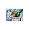 Ravensburger Kinderpuzzle - 12894 Kleine Katze - Produktbild-Vorschau 5