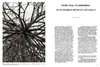 Ruth Asawa Produktbild-Vorschau 2