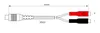 Wentronic AVK 102-020 0.2m, 5-pin DIN, 2 x RCA Produktbild-Vorschau 4