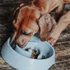 HUNTER ATLANTA Anti-Schlingnapf, Futternapf für Hunde und Produktbild-Vorschau 6