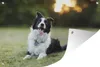 MuchoWow® Produktbild-Vorschau 1