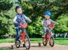 Bicicletta per bambini 12 pollici Cars Disney per ragazzo Anteprima dell’immagine prodotto 16