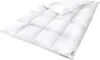 A white down comforter is shown laid out on a white background. Produktbild-Vorschau