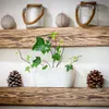 KADAX Blumentopf mit Untersetzer "Temara", Blumenkübel, Produktbild-Vorschau 10
