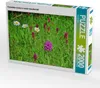 CALVENDO Puzzle Pyramiden-Orchis in bunter Gesellschaft Produktbild-Vorschau 2