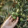 Venta del Barón - Preisgekröntes Premium Natives Extra Produktbild-Vorschau 7