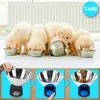 A collage showing puppies eating from bowls in the top section, and a digital kitchen scale with a bowl in the bottom section, demonstrating its use. Produktbild-Vorschau
