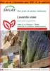 SAFLAX Garden in the bag - Lavande vraie - 150 graines - Voir les images du produit 1