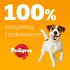Pedigree 40x 100g - Adult Auswahl in Sauce Produktbild-Vorschau 9