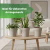 Leni Hydrokultur Komplett-Set mit Blumentopf Kulturtopf Produktbild-Vorschau 10