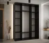 A modern, minimalist entryway with a large black wardrobe and decorative dried flowers. Produktbild-Vorschau