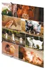 HERMA Sammelmappe A3 Bauernhoftiere, A3, Lagerung, Produktbild-Vorschau 11