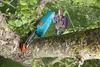 Gardena Elektro Teleskop Hochentaster 720/20 Produktbild-Vorschau 12