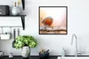 MuchoWow® Gerahmtes Poster Rotkehlchen - Ast - Baum 40x40 Produktbild-Vorschau 3