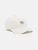 Gorra Dickies DK0A4TKVC581 para Uni Vista previa de la imagen del producto 5