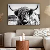 OneMillionCanvasses® - Obrazy na plátně - Kráva - Skotský Náhled obrázku produktu 5