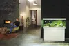Aquariumkombination JUWEL Rio 240 SBX mit LED-Beleuchtung, Produktbild-Vorschau 4