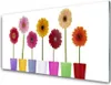 Acrylglasbilder 100x50 Wandbild Druck Blumen Pflanzen Produktbild-Vorschau 1