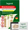 Legona Brackwespen gegen Lebensmittelmotten, 1 Schachtel Produktbild-Vorschau 1