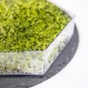 A close-up of microgreens growing in a clear hexagonal container, placed on a dark slate surface. Produktbild-Vorschau