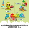 LEGO DUPLO Třídění tvarů: Domeček pro štěňátka, Sada na Náhled obrázku produktu 26