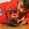 Eldrador Escorpión de Lava (/naranja) Vista previa de la imagen del producto 11
